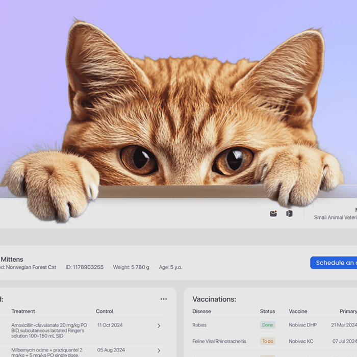 Slide 2: Preview of project 1