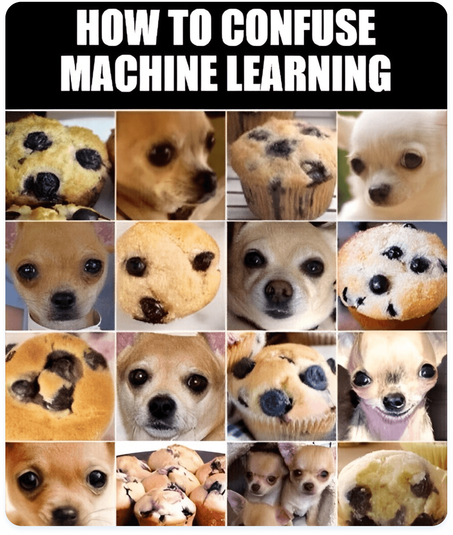 How to confuse machine learning