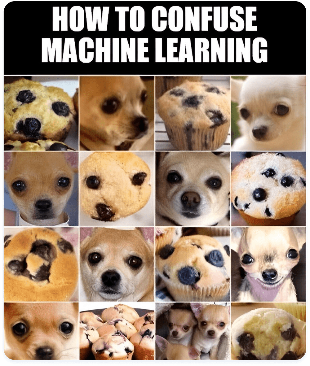How to confuse machine learning How to confuse machine learning