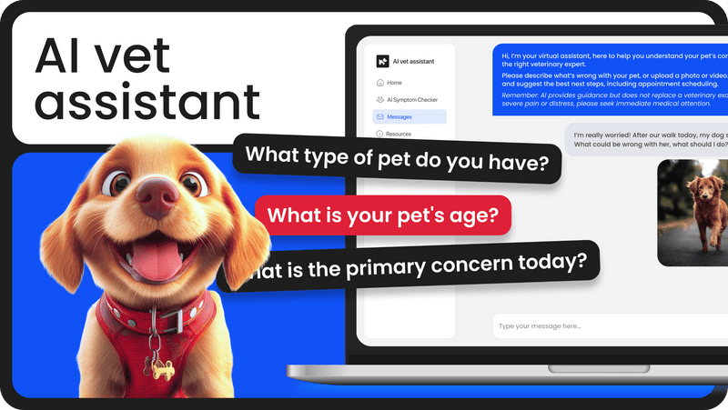 AI-powered veterinary appointment optimization