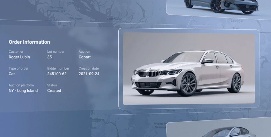 Preview of case