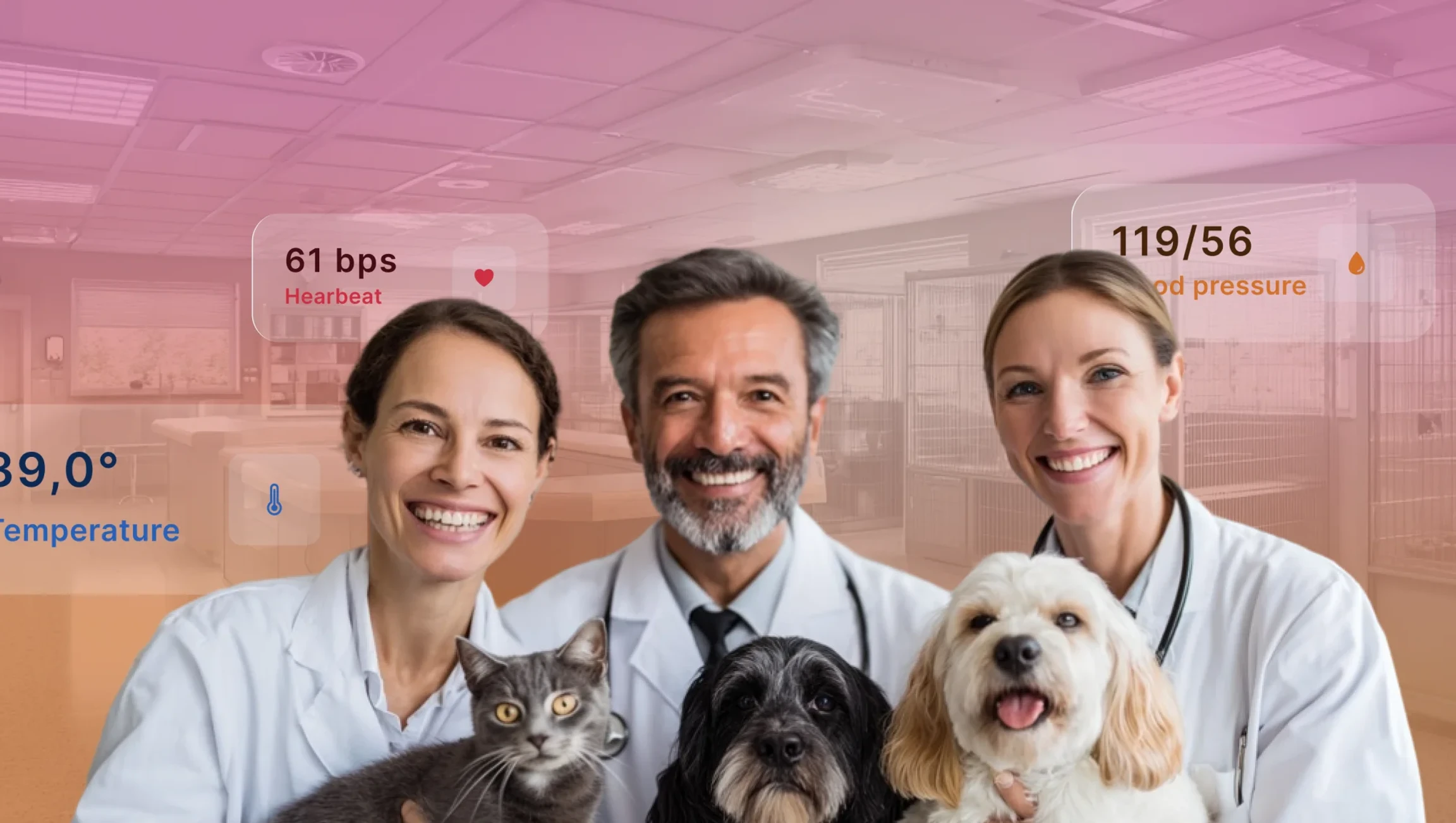 Slide 3: Image of project