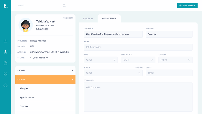 Custom EHR System - Problems List Screen