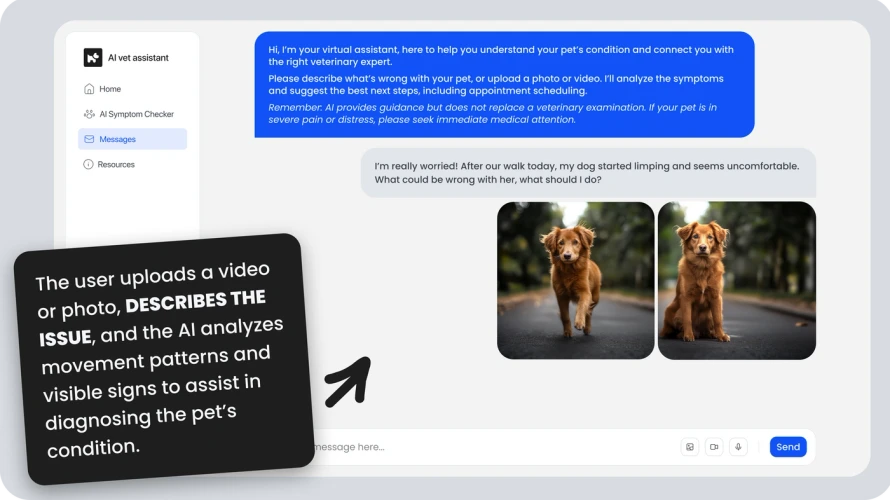 Slide 3: Image of project 2