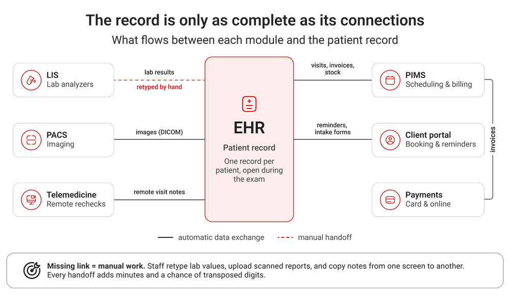 What each connection in veterinary software carries