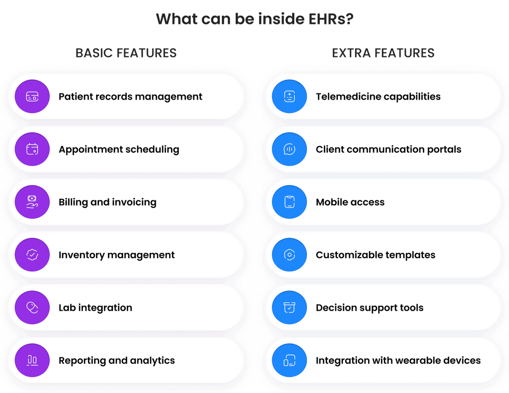 What features can be inside EHRs What features can be inside EHRs