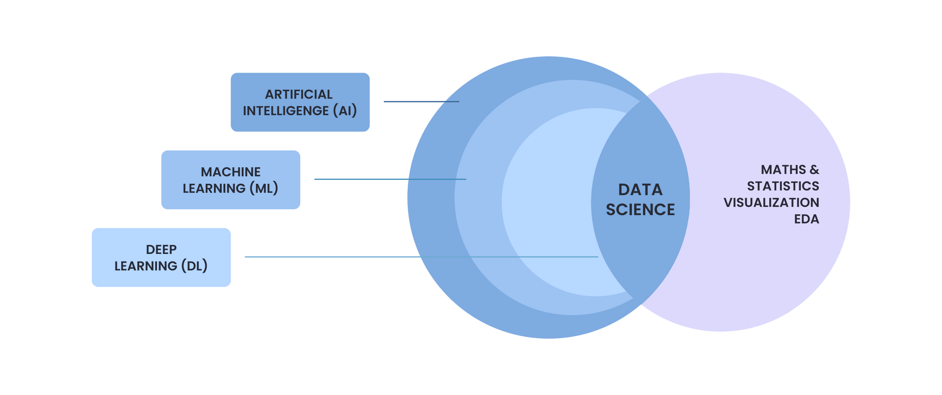  DS and AI overlap