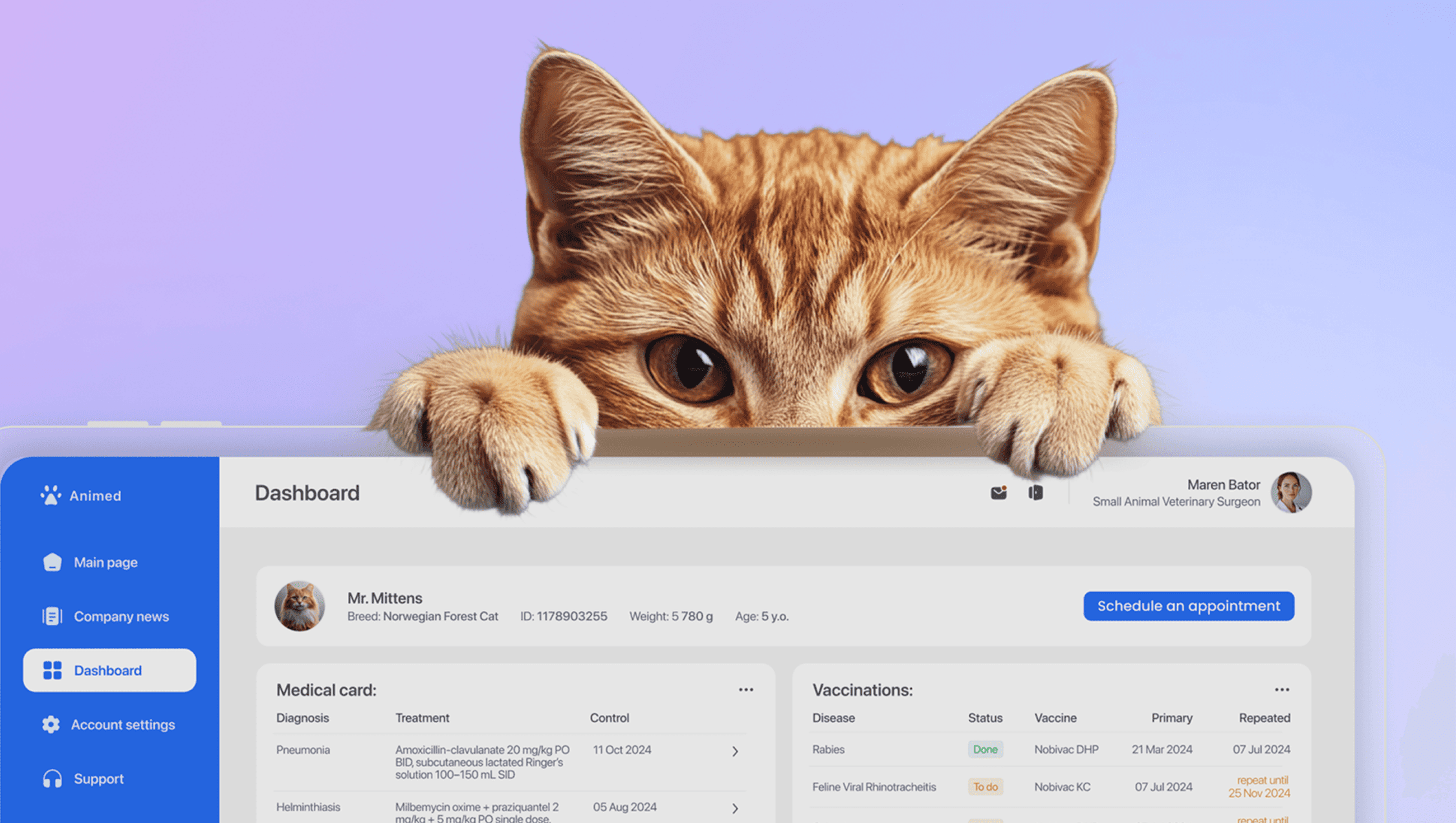 Slide 2: Image of project